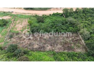 Efiedwam_Prime Registered Land for Sale-00
